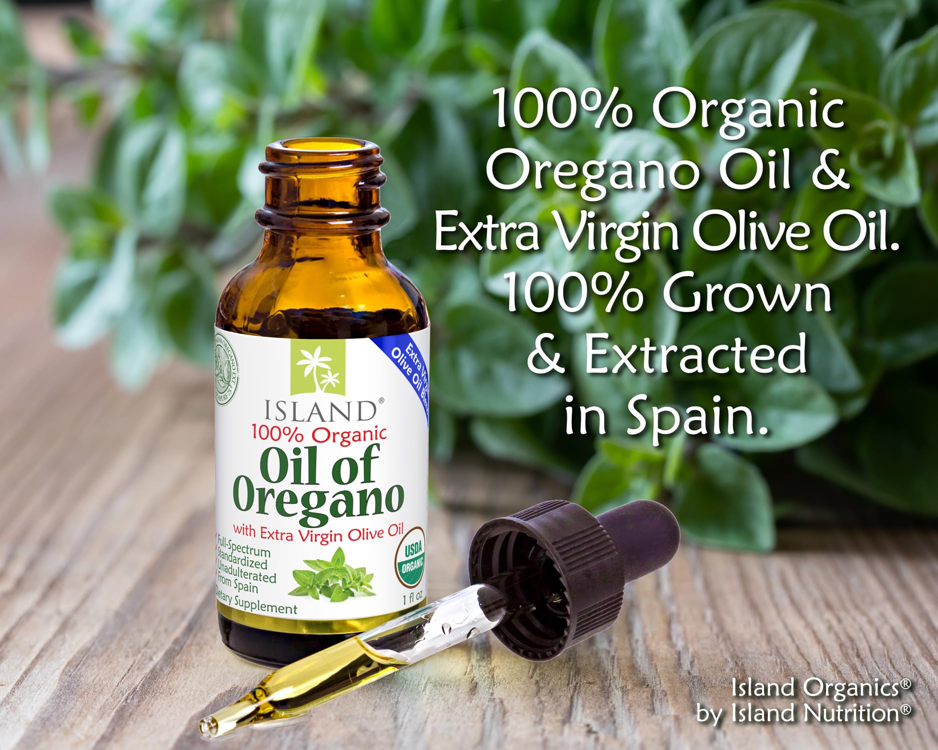 Oregano oil and olive oil blend from Mediterranean Spain