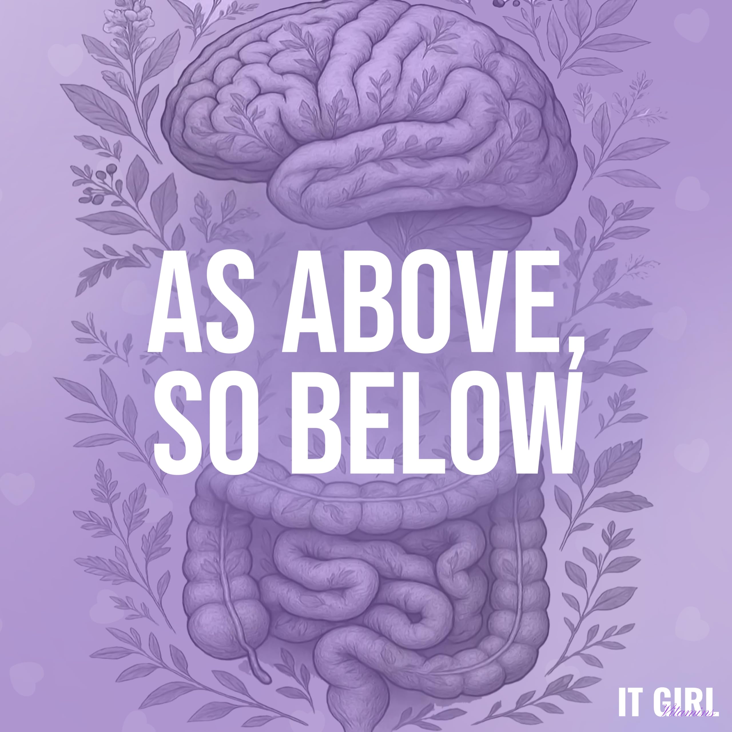 It Girl Gut Detox-daily-routine suggests consistent use for balanced digestion.