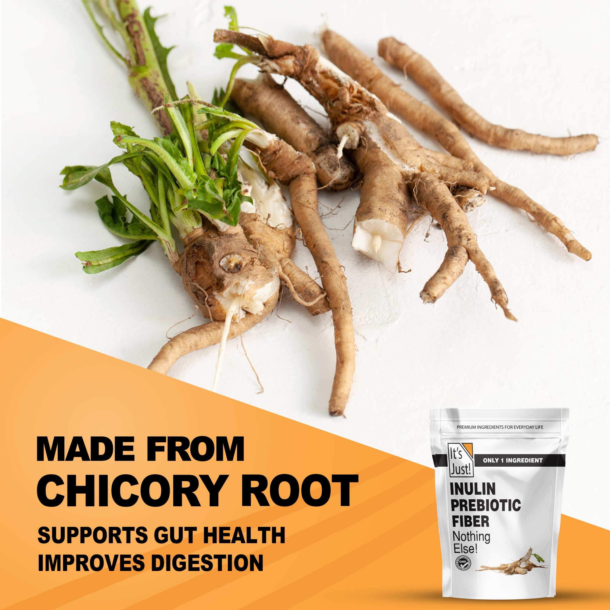 Chicory root illustration representing inulin origin