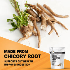Chicory root illustration representing inulin origin