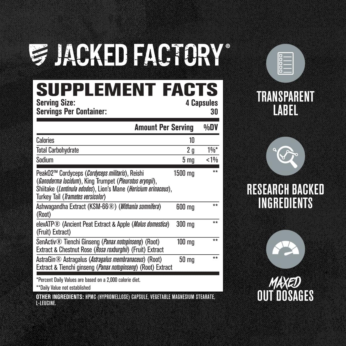 Jacked Factory Build-XT Max box viewed from the side on a gym bench.