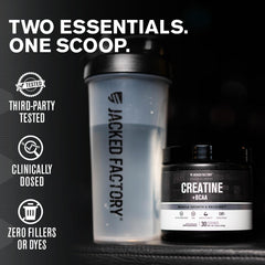 Scoop of Creatine Monohydrate and BCAAs powder