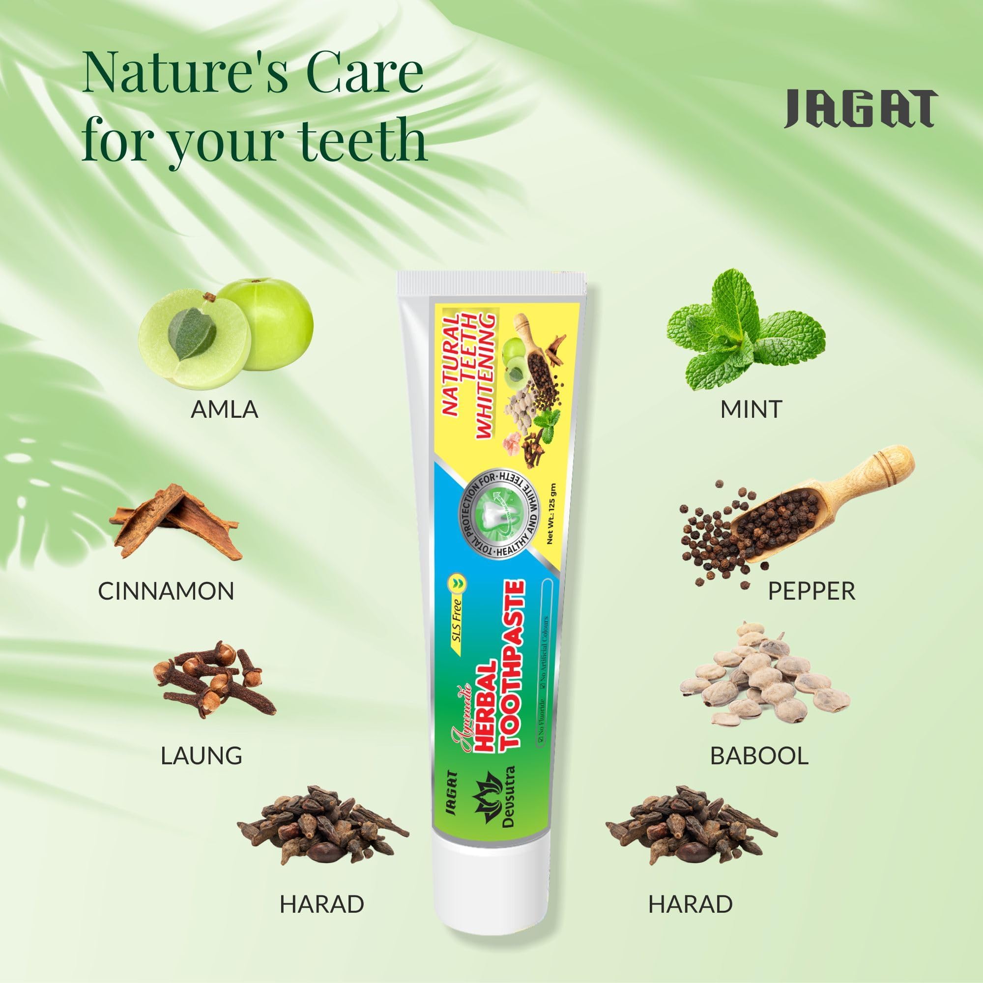 Pack of Jagat Devsutra Ayurvedic toothpaste, 2 x 4 oz
