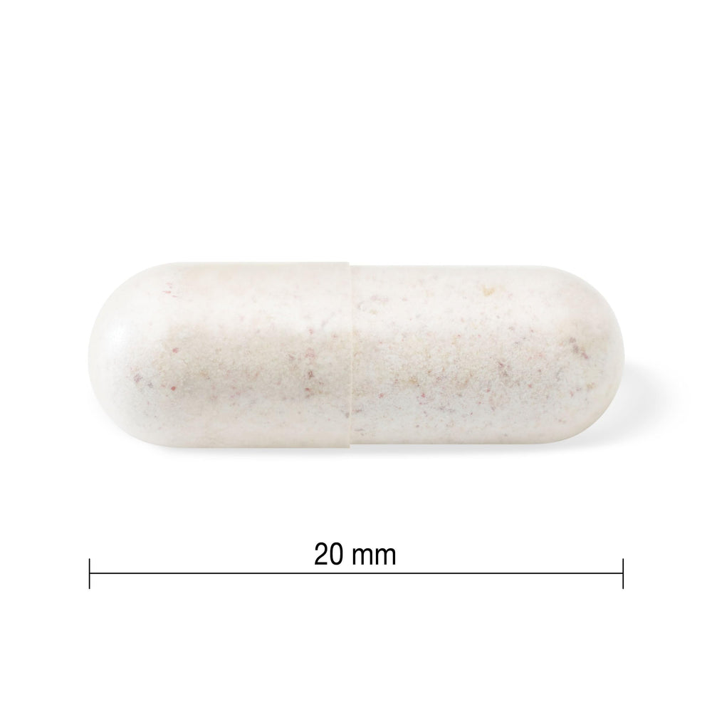 Jamieson Probiotics ingredients label