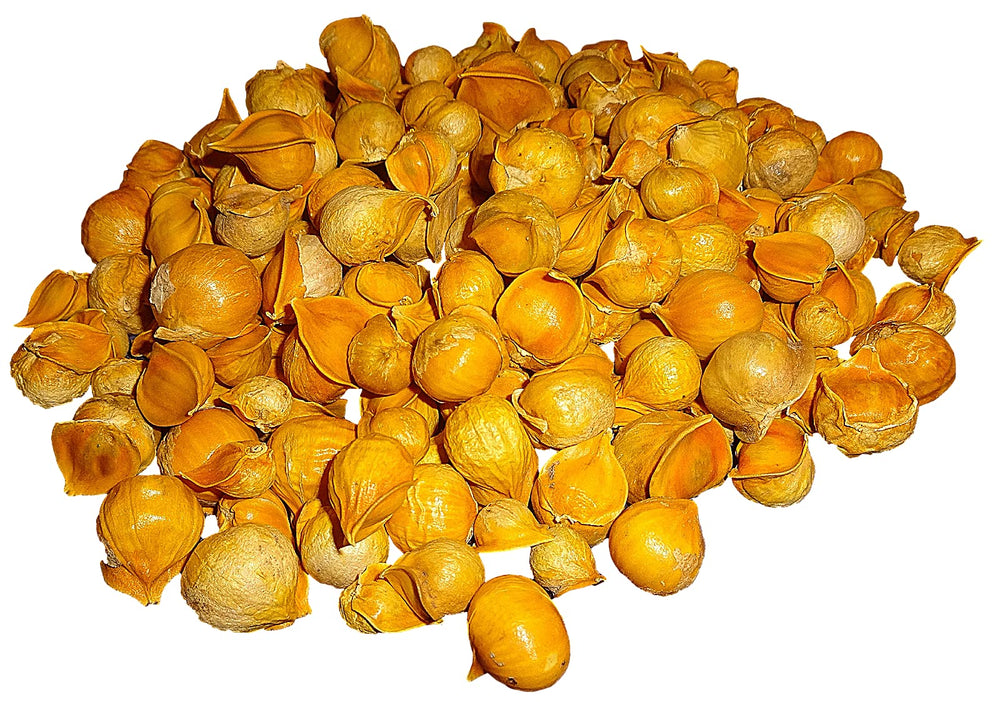 Close-up of garlic cloves representing AJO Japones