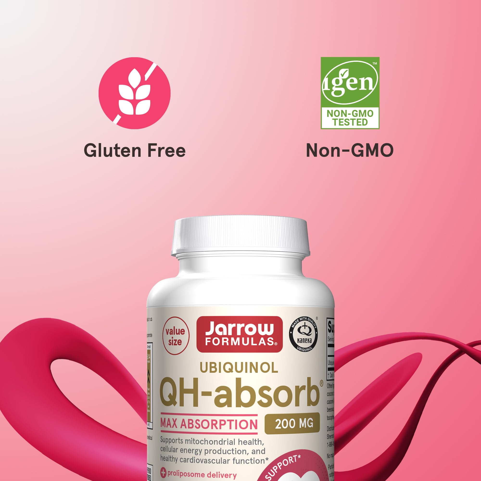 Illustration of ubiquinol absorption and mitochondrial energy support