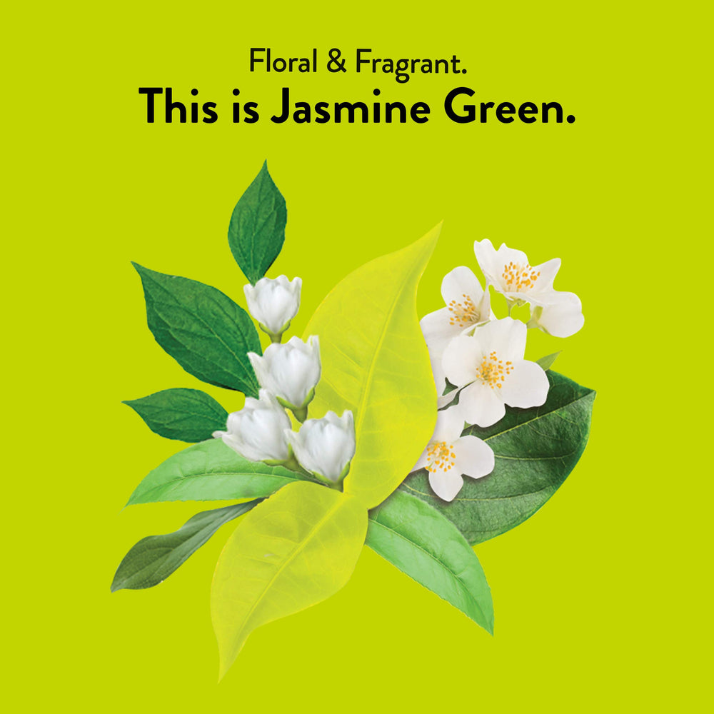 Close-up of Jasmine Green Tea bags