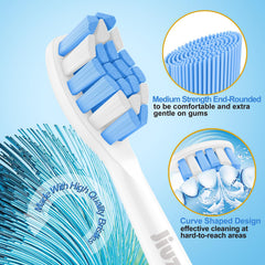 End-rounded DuPont Tynex bristles for gentle brushing