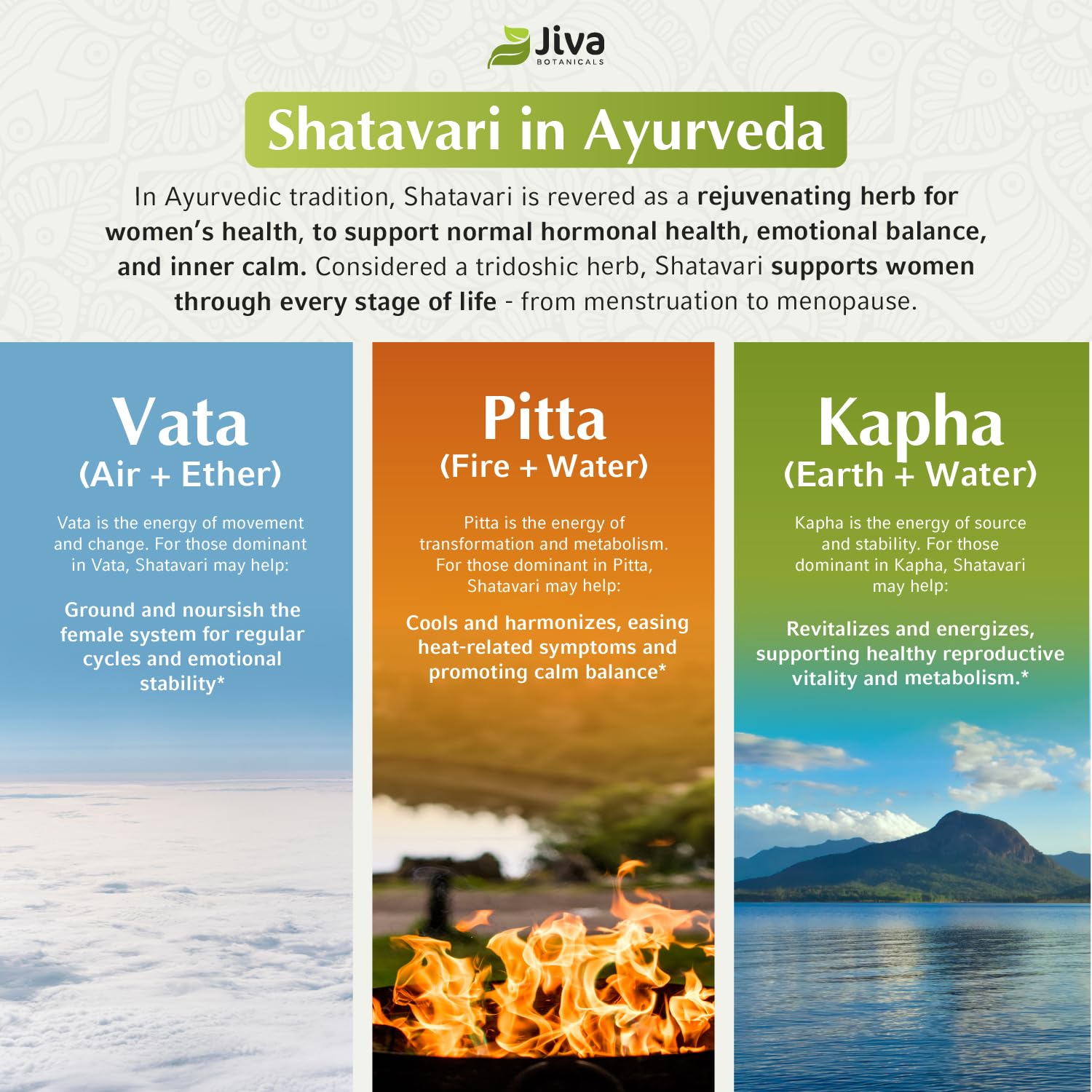 Shatavari capsules for menopause support and hormonal balance
