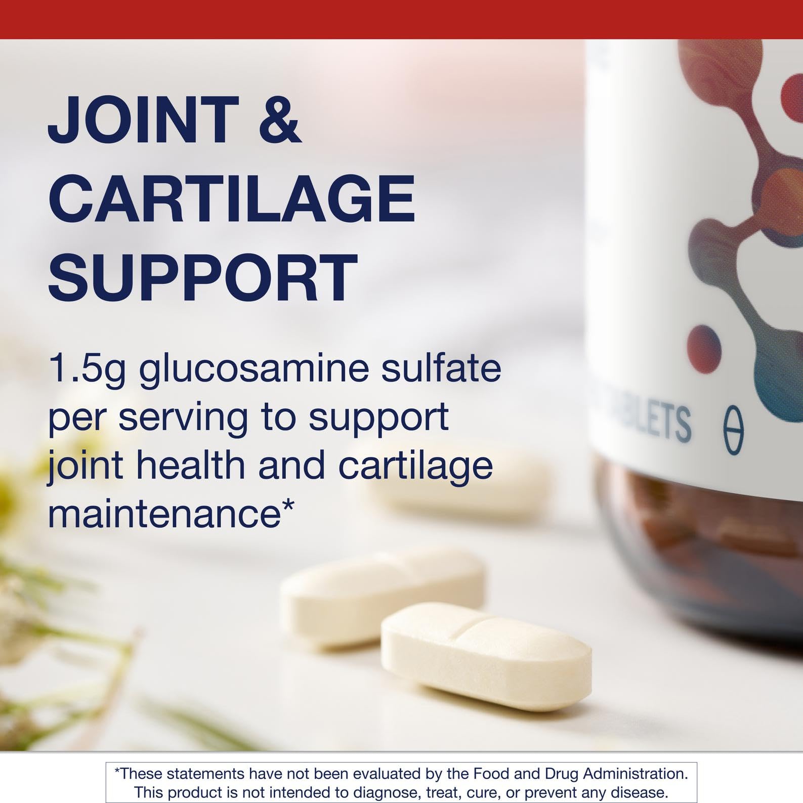 Illustration of joint health and cartilage support