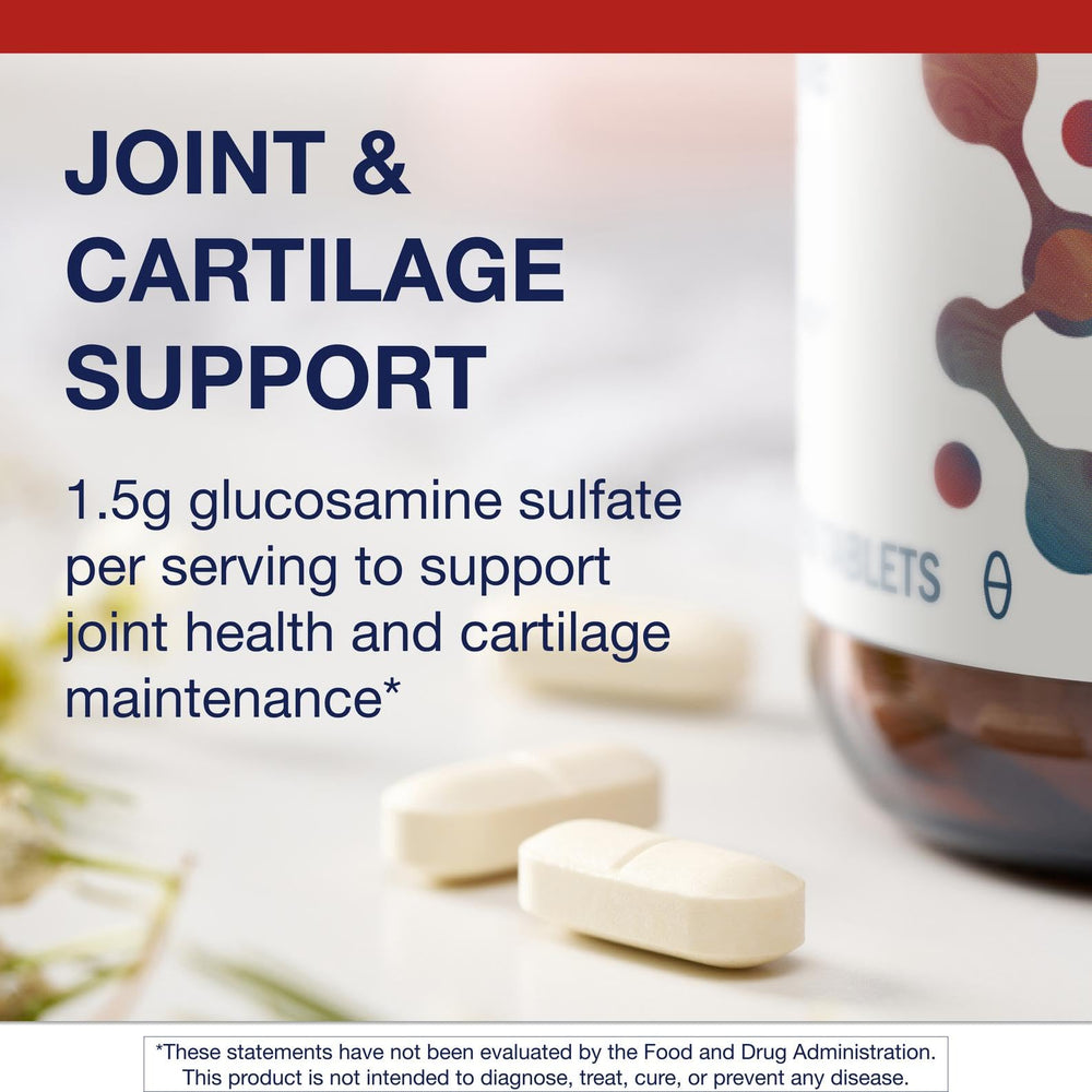 Illustration of joint health and cartilage support