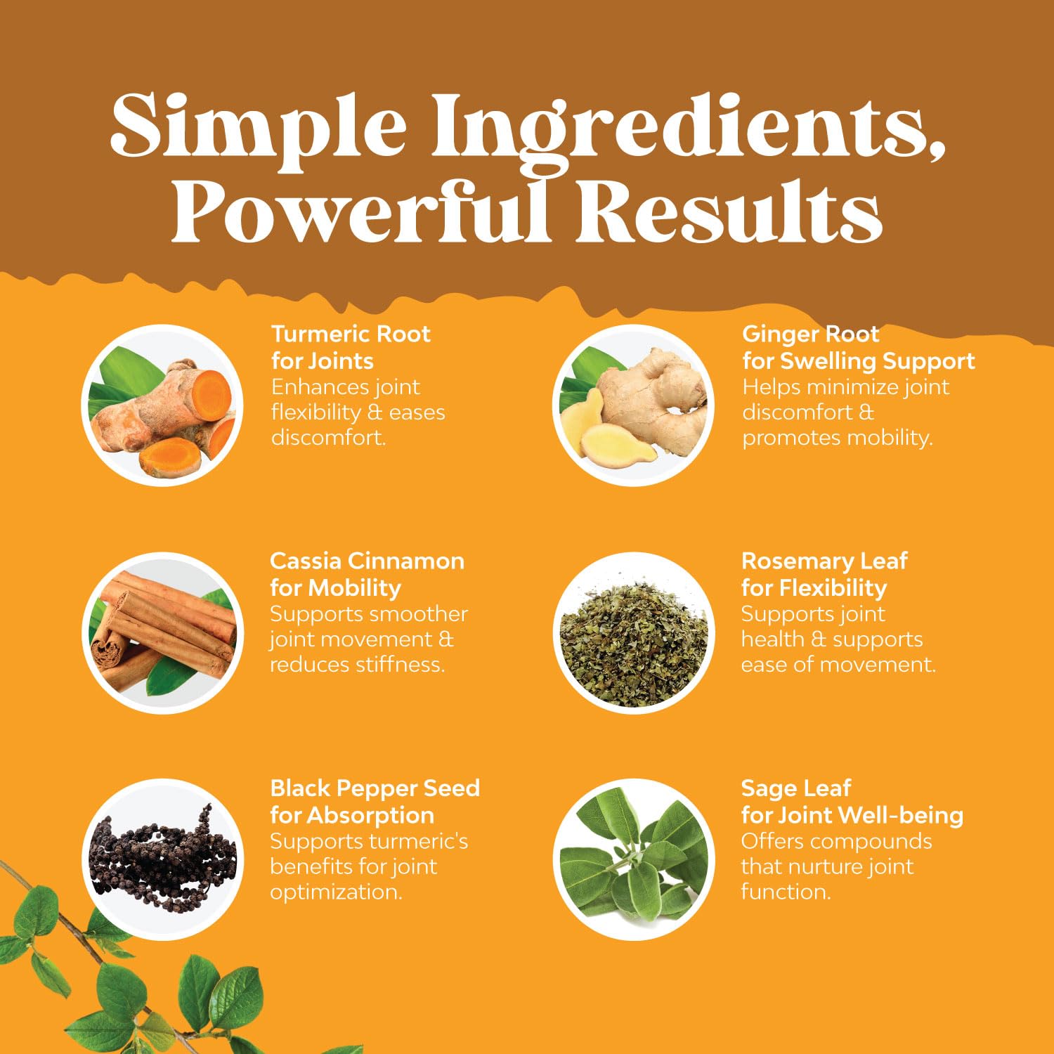 Graphic showing joints, liver and digestive health benefits