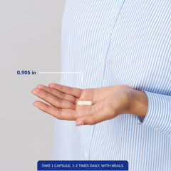 Concept image showing joint support and connective tissue