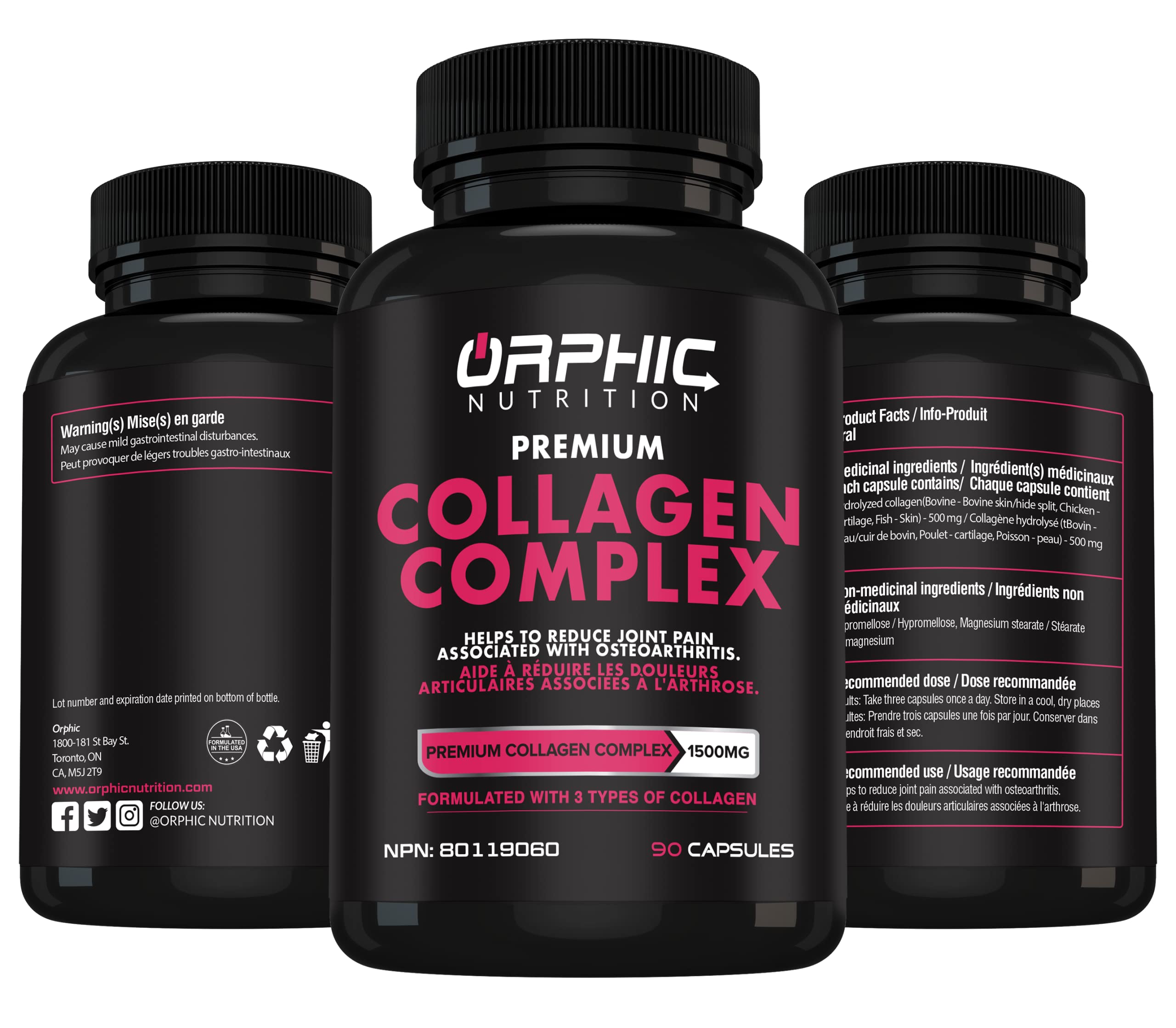 Illustration of joints, tendons, ligaments and muscles