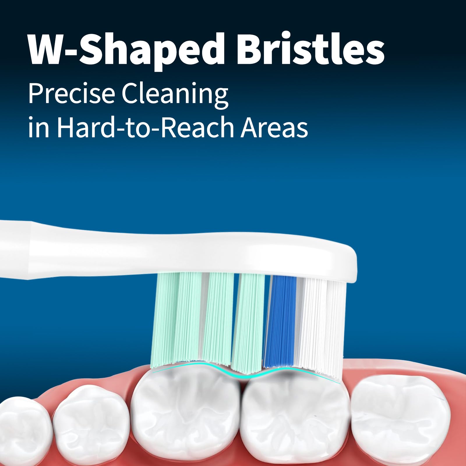 Brushed bristles designed for thorough cleaning and gum health