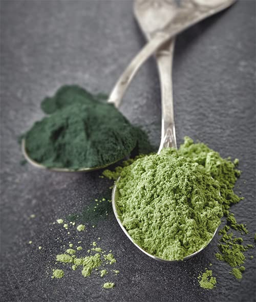 Smoothie being prepared with Jovvily Wheat Grass Powder