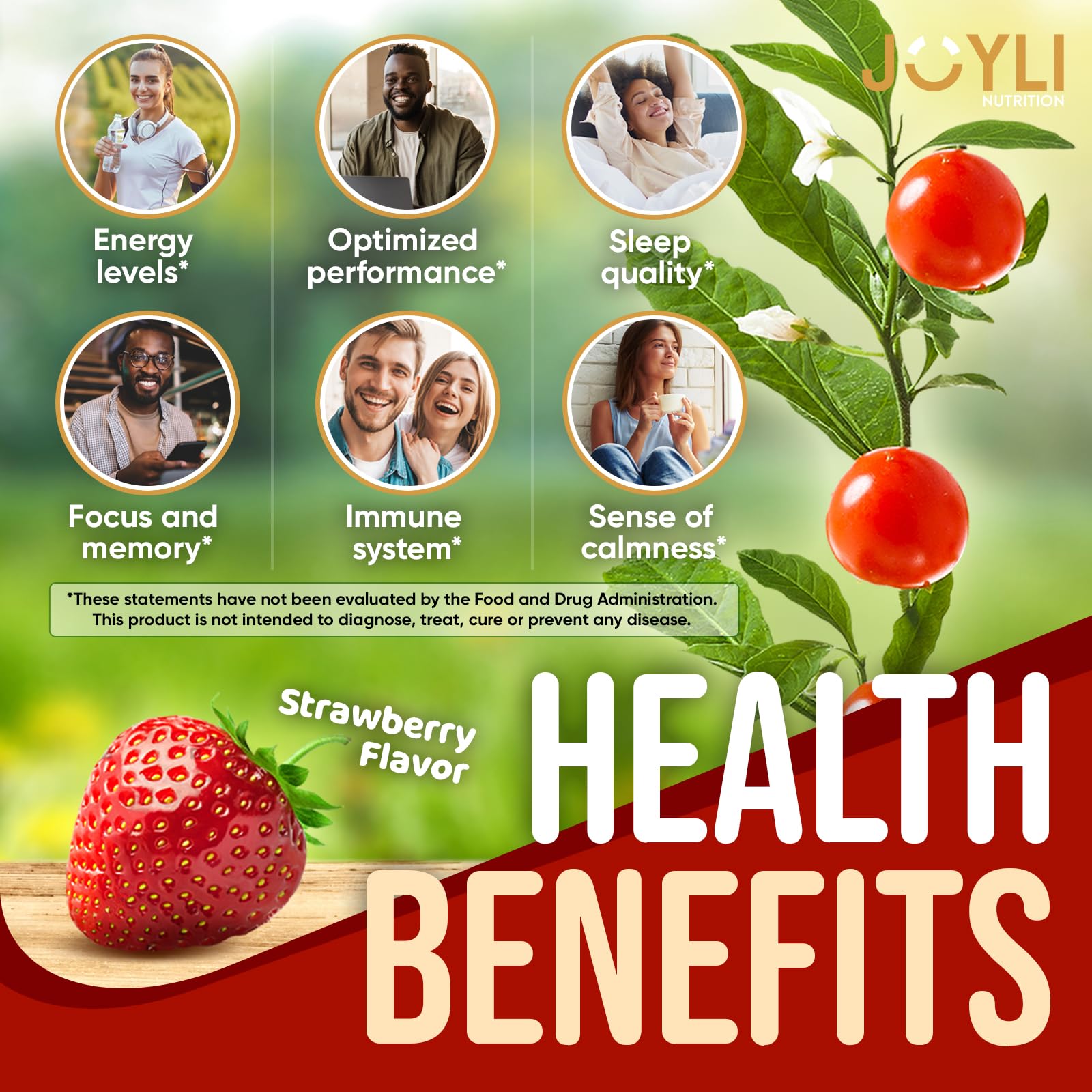 Hero image of JOYLI 2-pack Ashwagandha Gummies