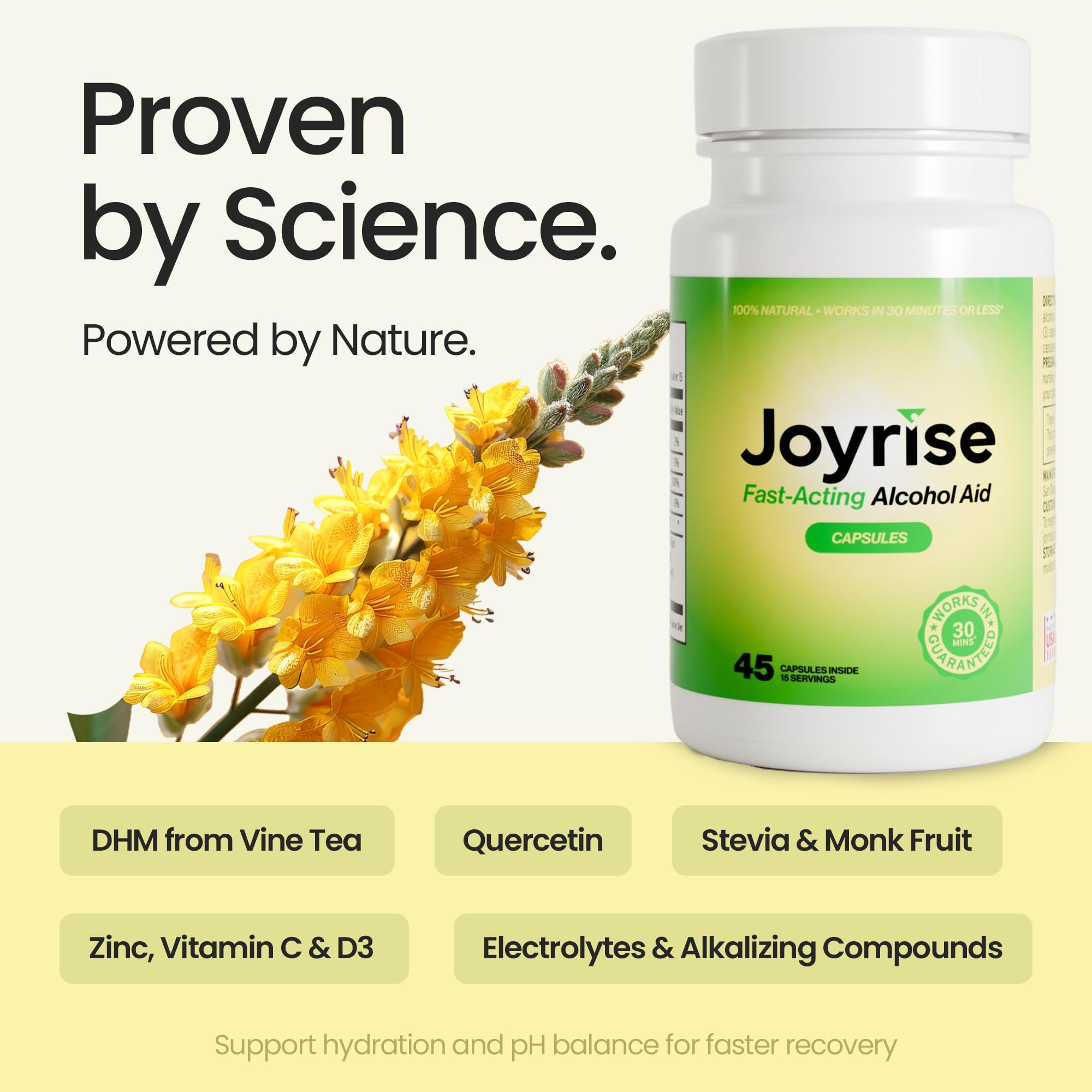 Close-up of a Joyrise DHM capsule with glossy coating