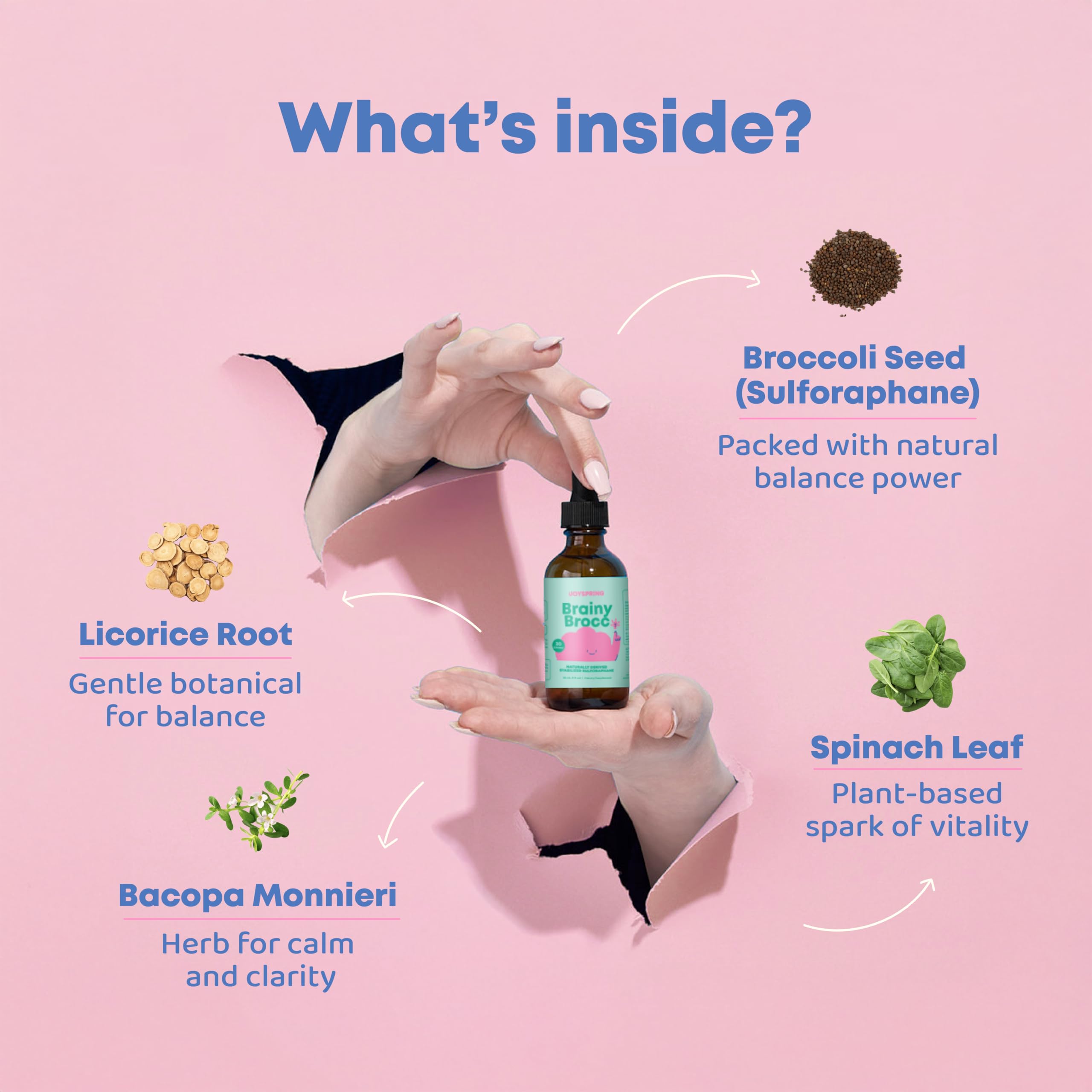 Activated broccoli seed extract with myrosinase enzyme