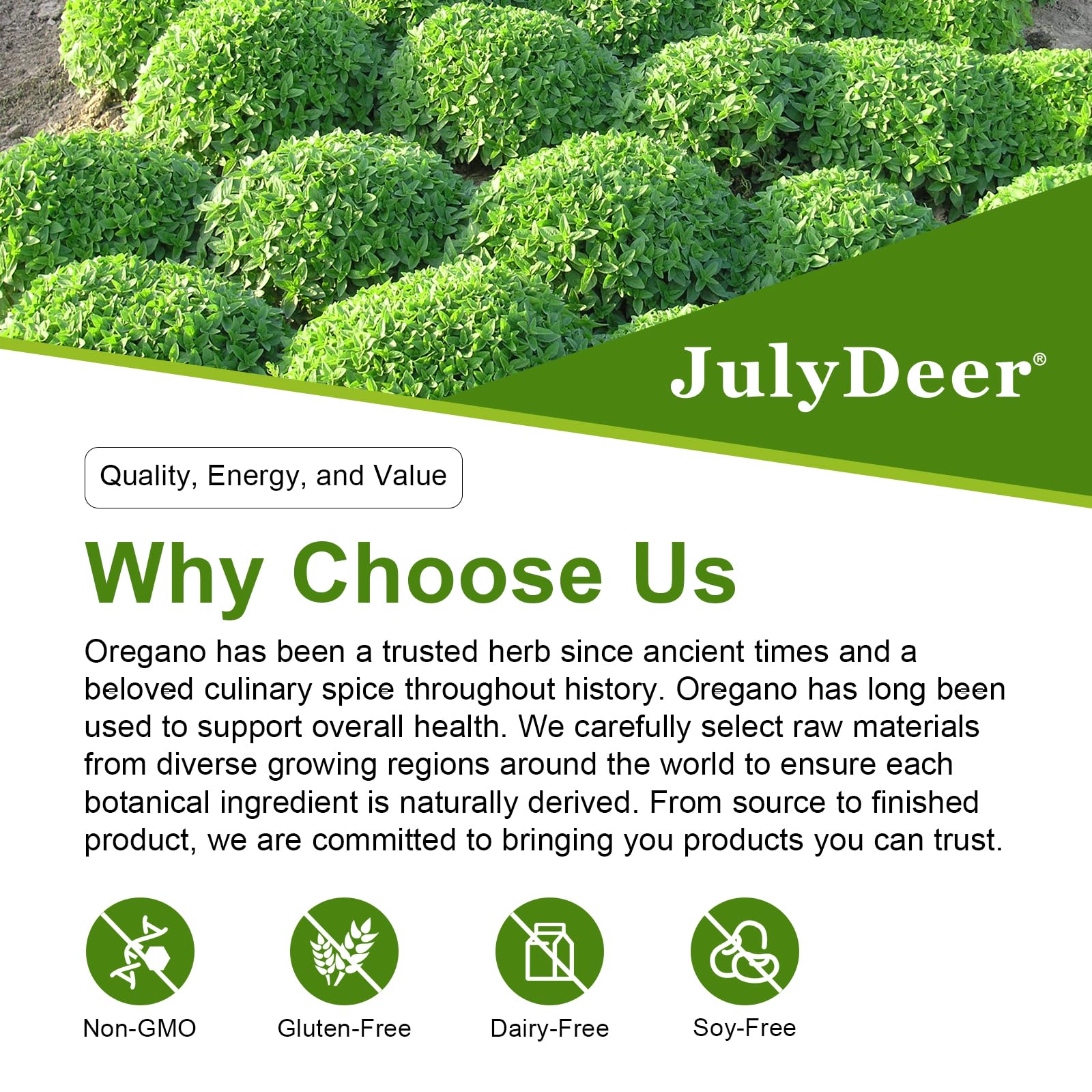 Graphic highlighting carvacrol and thymoquinone antioxidants