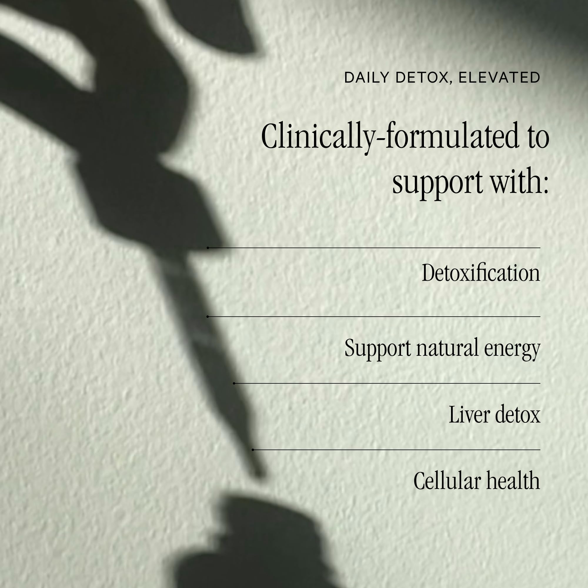 Natural ingredients: chlorophyll from white mulberry leaf