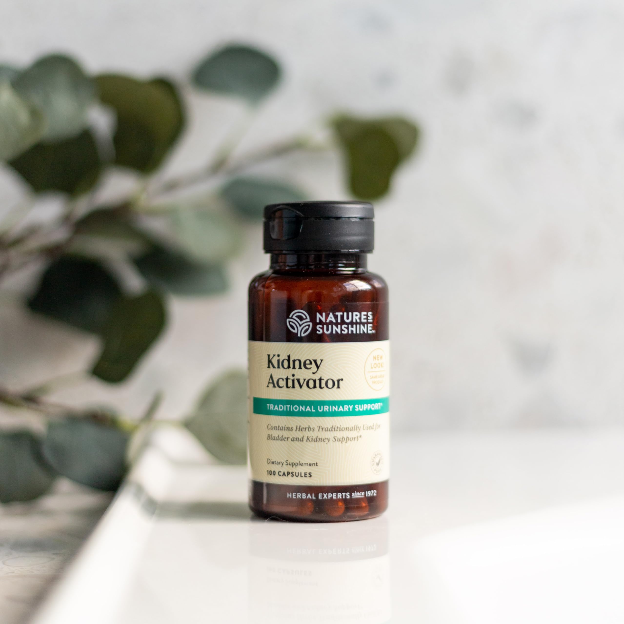 Juniper berries ingredient for Kidney Activator