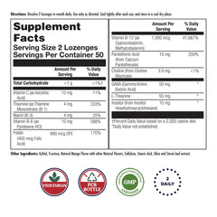 Ingredients panel for KAL GABA L-Theanine Stress B Lozenge