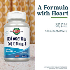 Omega-3 fatty acids supplied by fish oil concentrate
