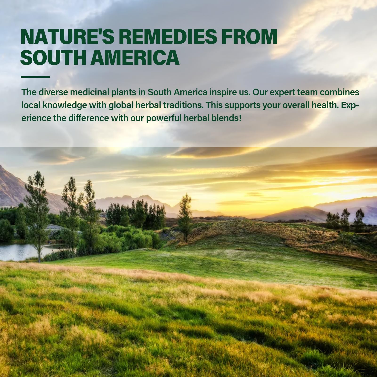 Organic herbs and ingredients used in DetoxenNATURE Kalawalla Drops