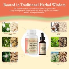 Traditional Chinese herbalism-inspired Kan Essentials branding image