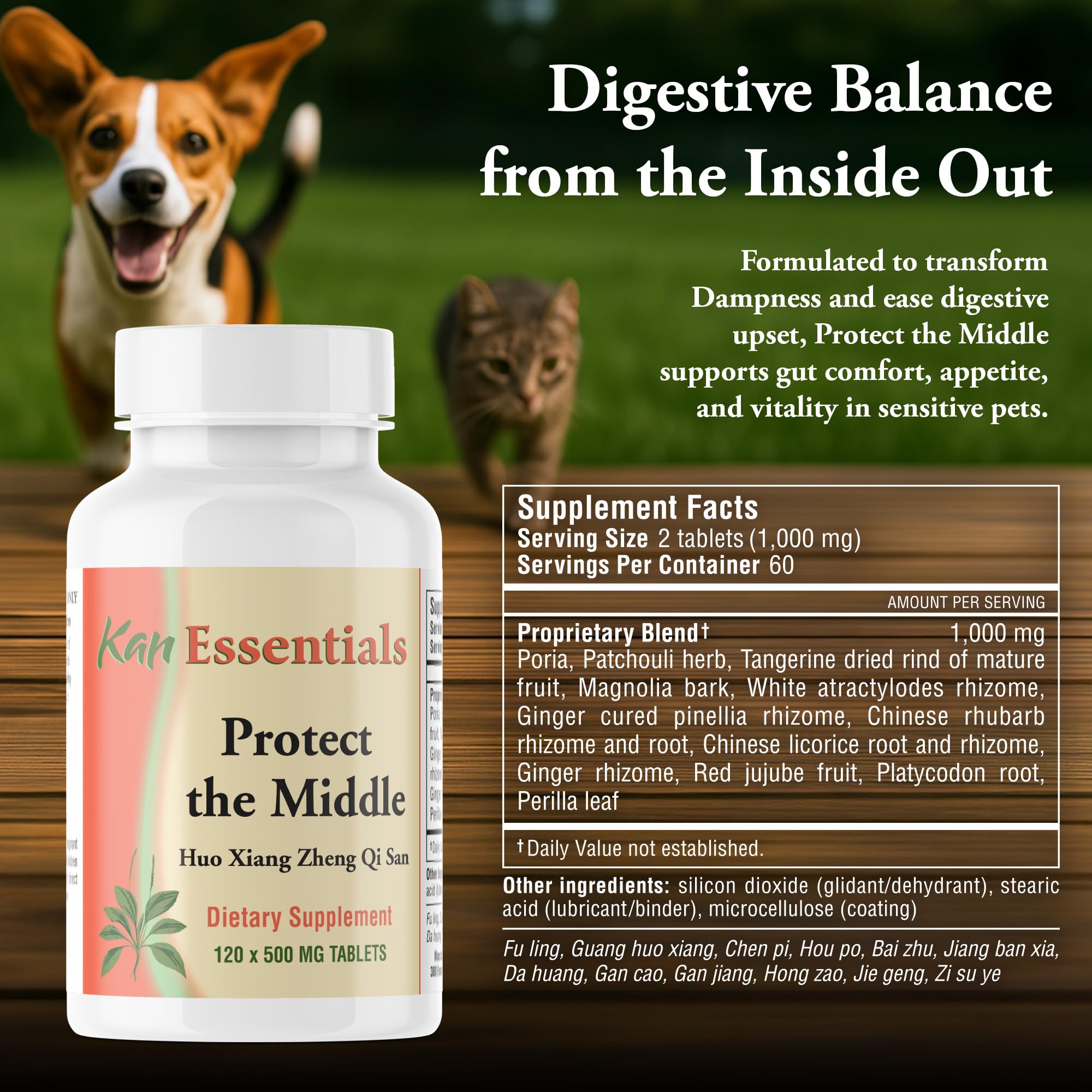Illustration of herbs used in the Protect The Middle formula