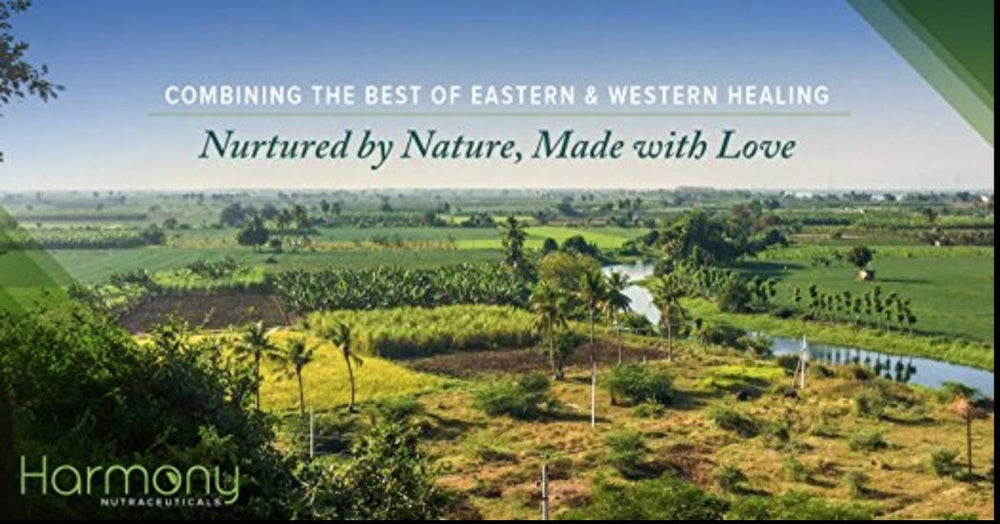 Laboratory testing for Kanchnar Guggul purity