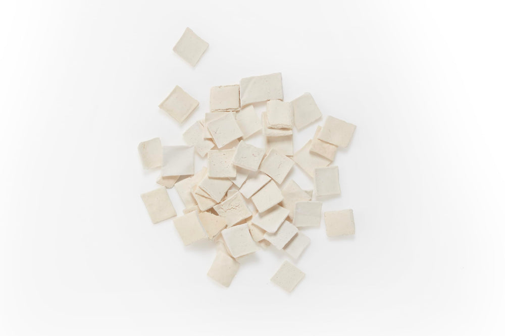 Aquatic inverts thriving with KatsAquatics