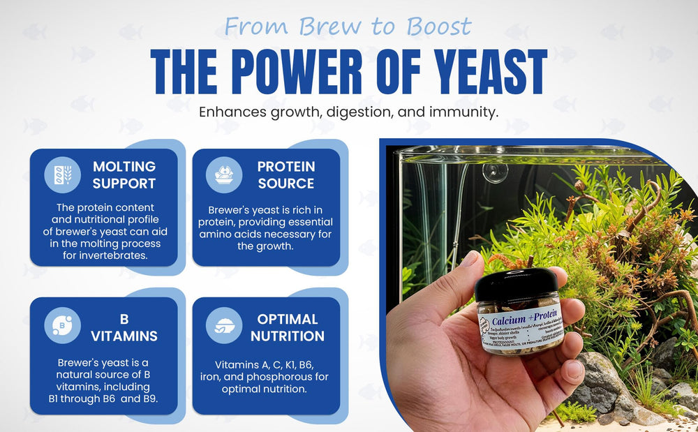 Water-stable calcium protein tablet not dissolving in water