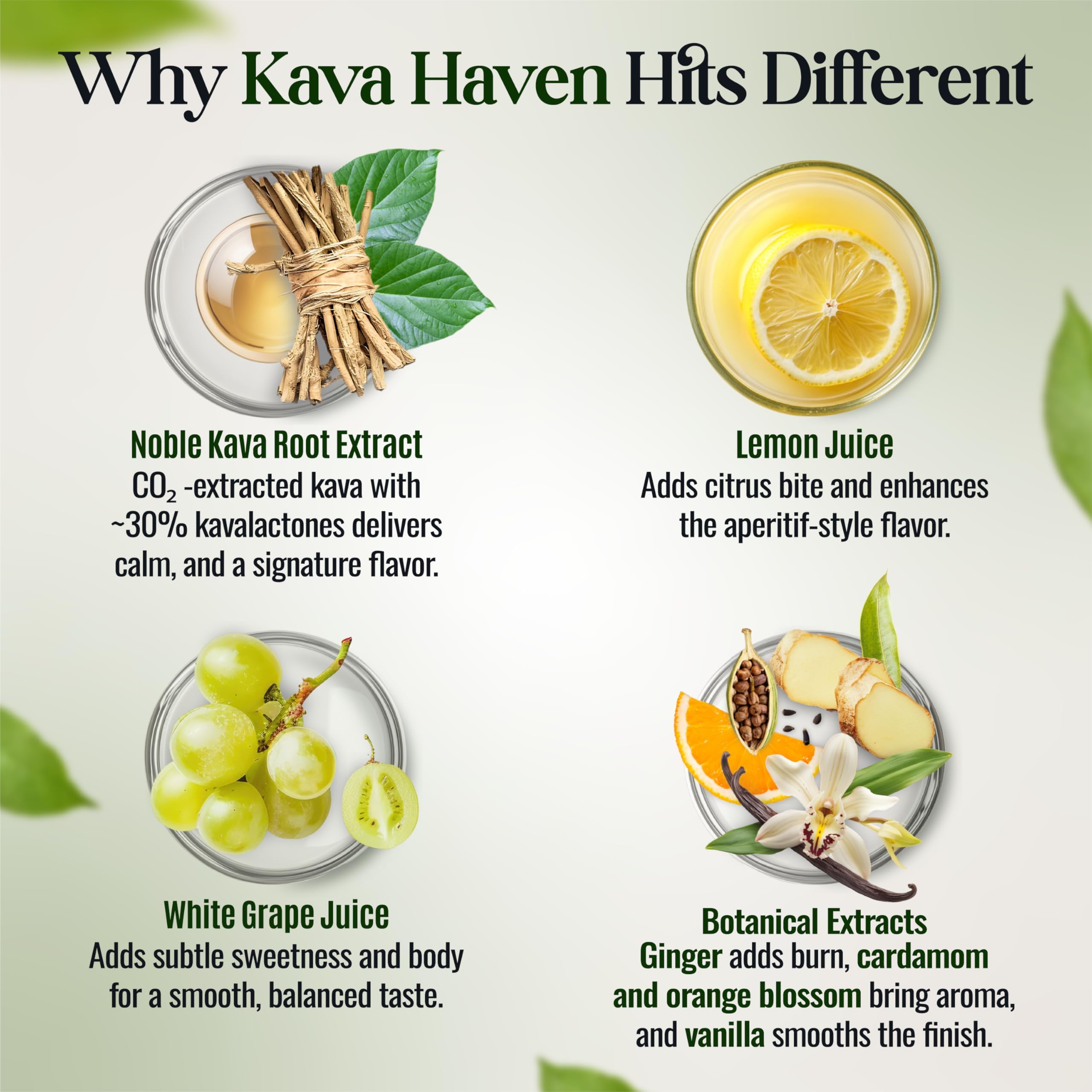 Kava Haven ingredient highlights: Noble Kava Root, lemon, vanilla, ginger