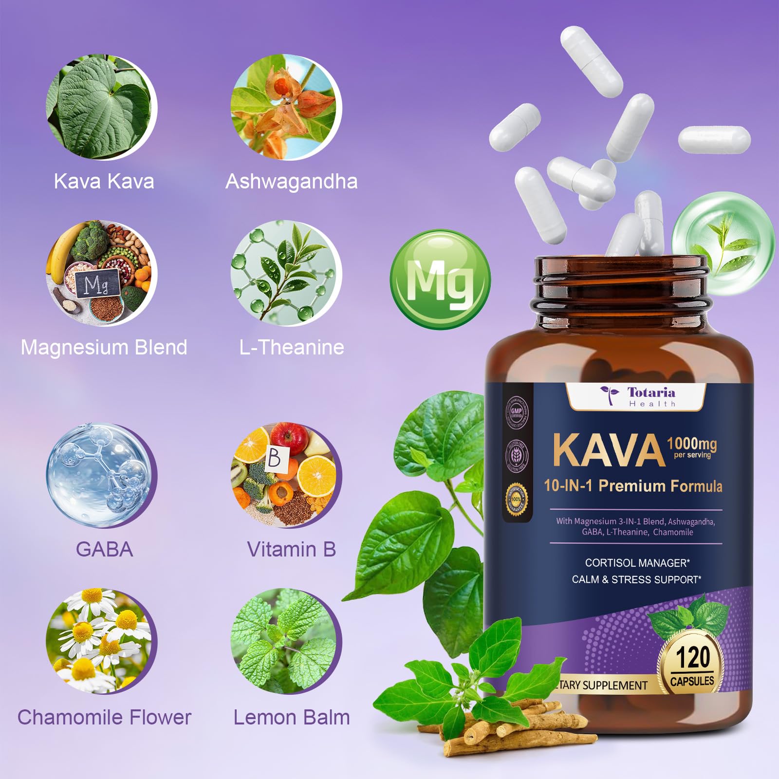 Kava Kava Root Extract product label