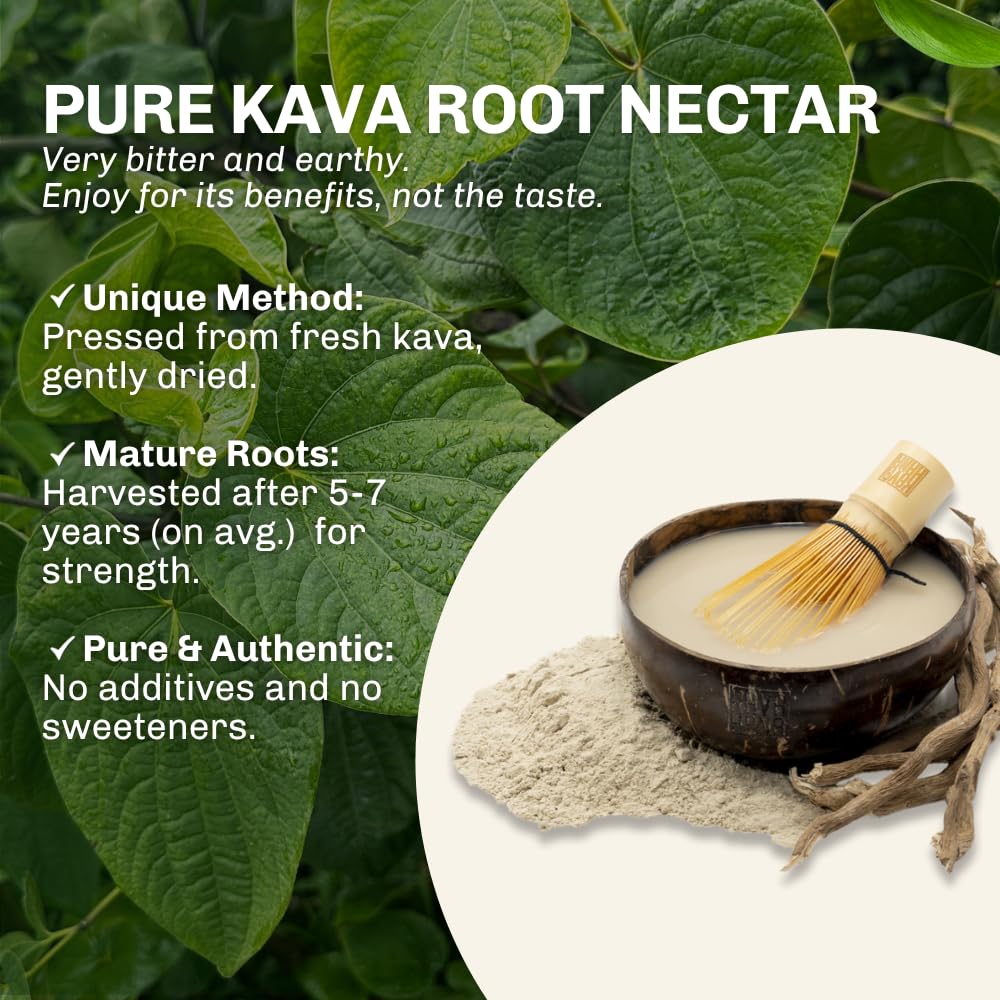 Kava plants grown in volcanic soil in Vanuatu