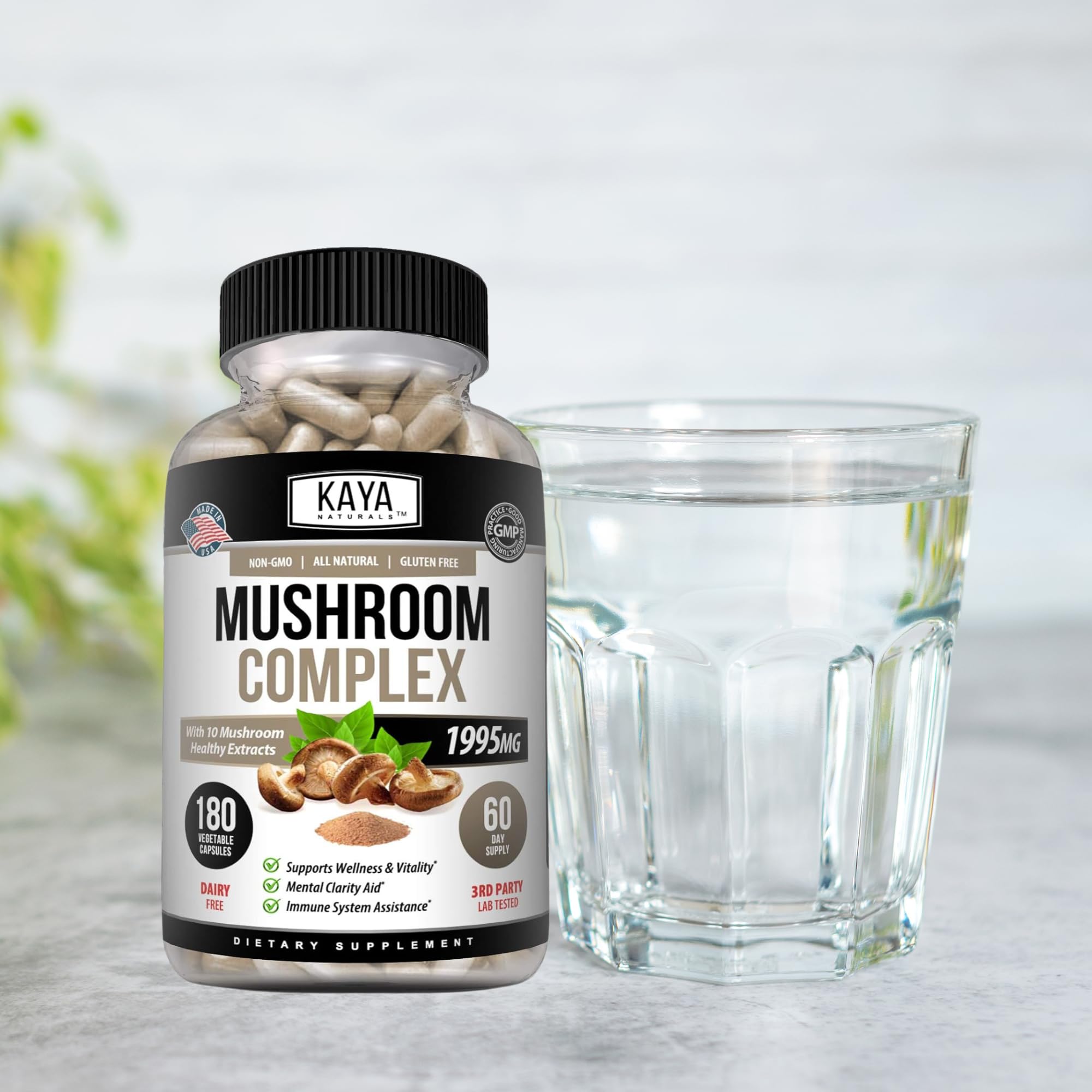 Illustration representing immune support and brain health from mushrooms