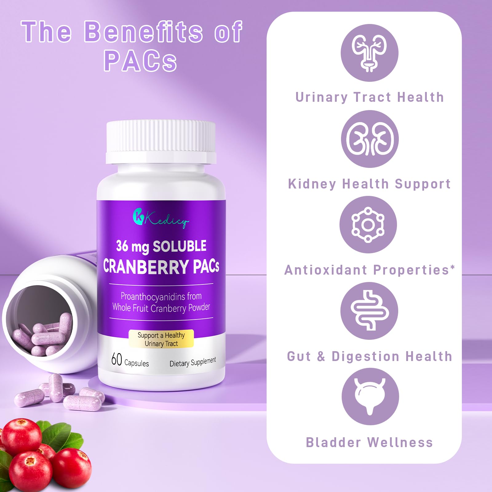 Whole fruit cranberry powder imagery