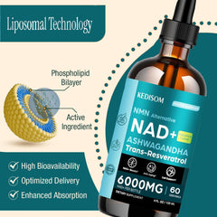 Pouring NAD+ liquid from dropper into a glass on a white background