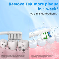 Front view of Keosaa ALB-817 showing brush heads and handle design