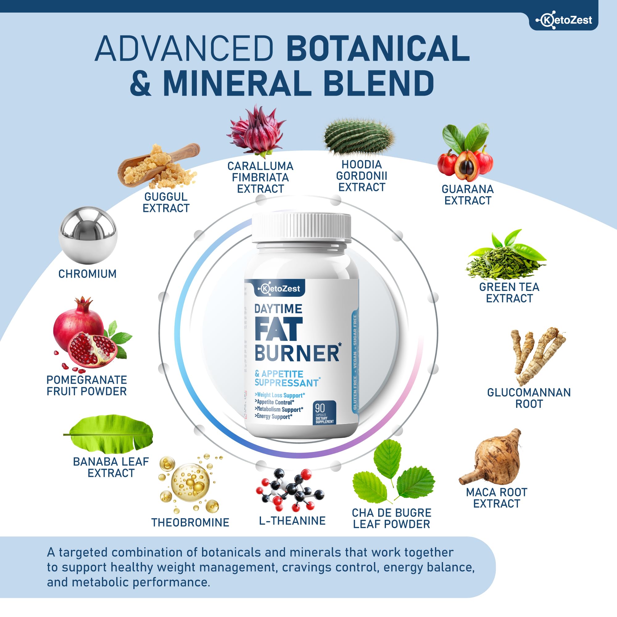 Appetite-suppressing botanicals glucomannan hoodia caralluma