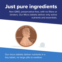 Graphic comparing sugar content to typical gummies
