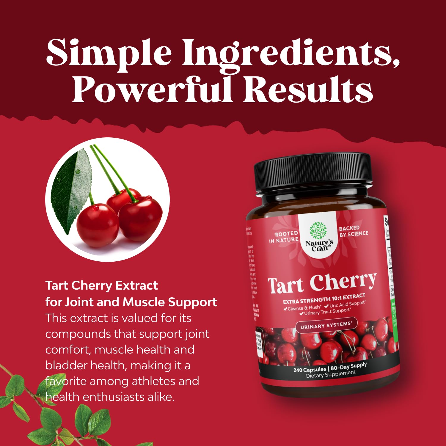 Kidney and urinary tract health concept with tart cherry capsules
