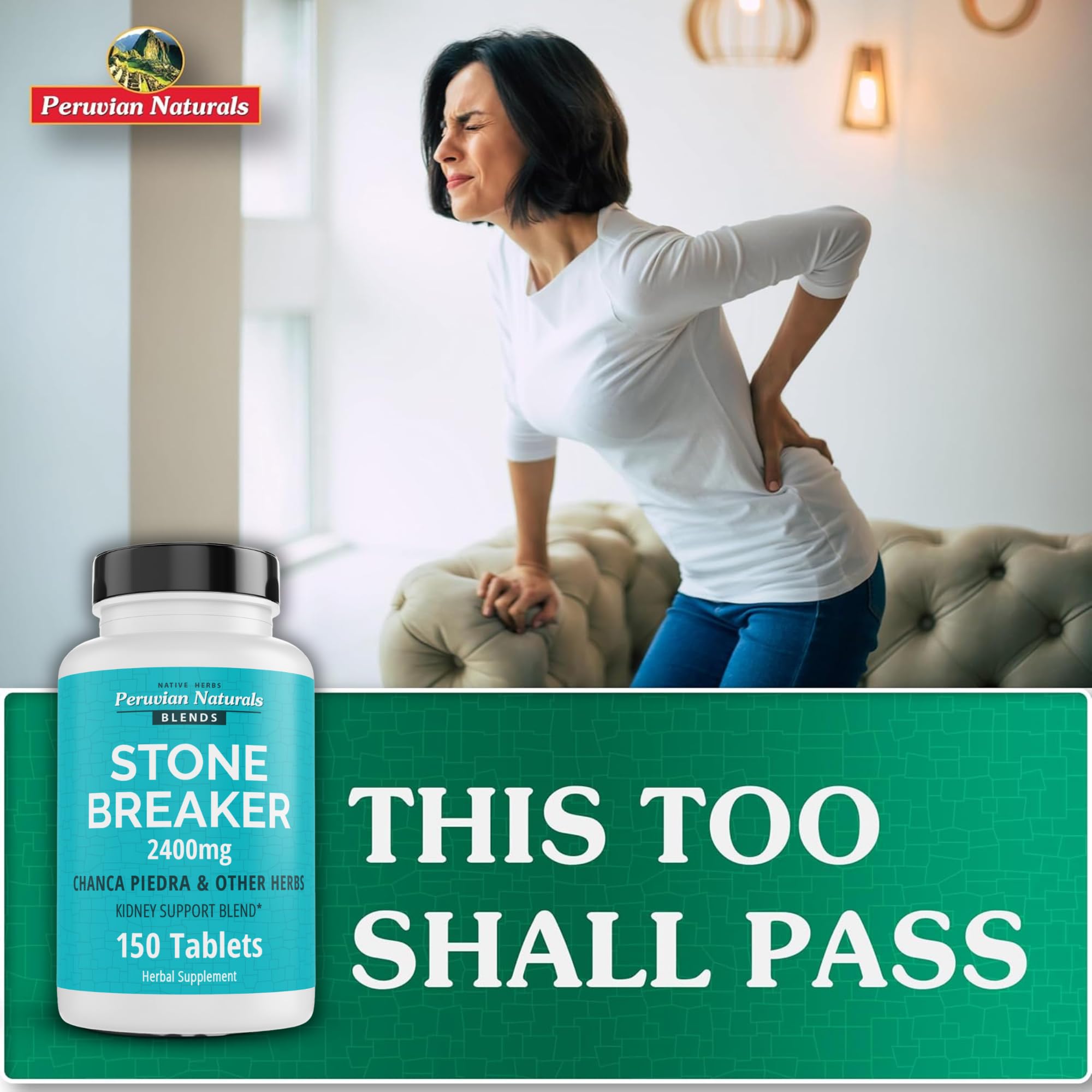 Illustration of kidney and urinary tract support