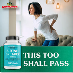 Illustration of kidney and urinary tract support