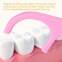 Floss picks with four colors and animal designs for kids