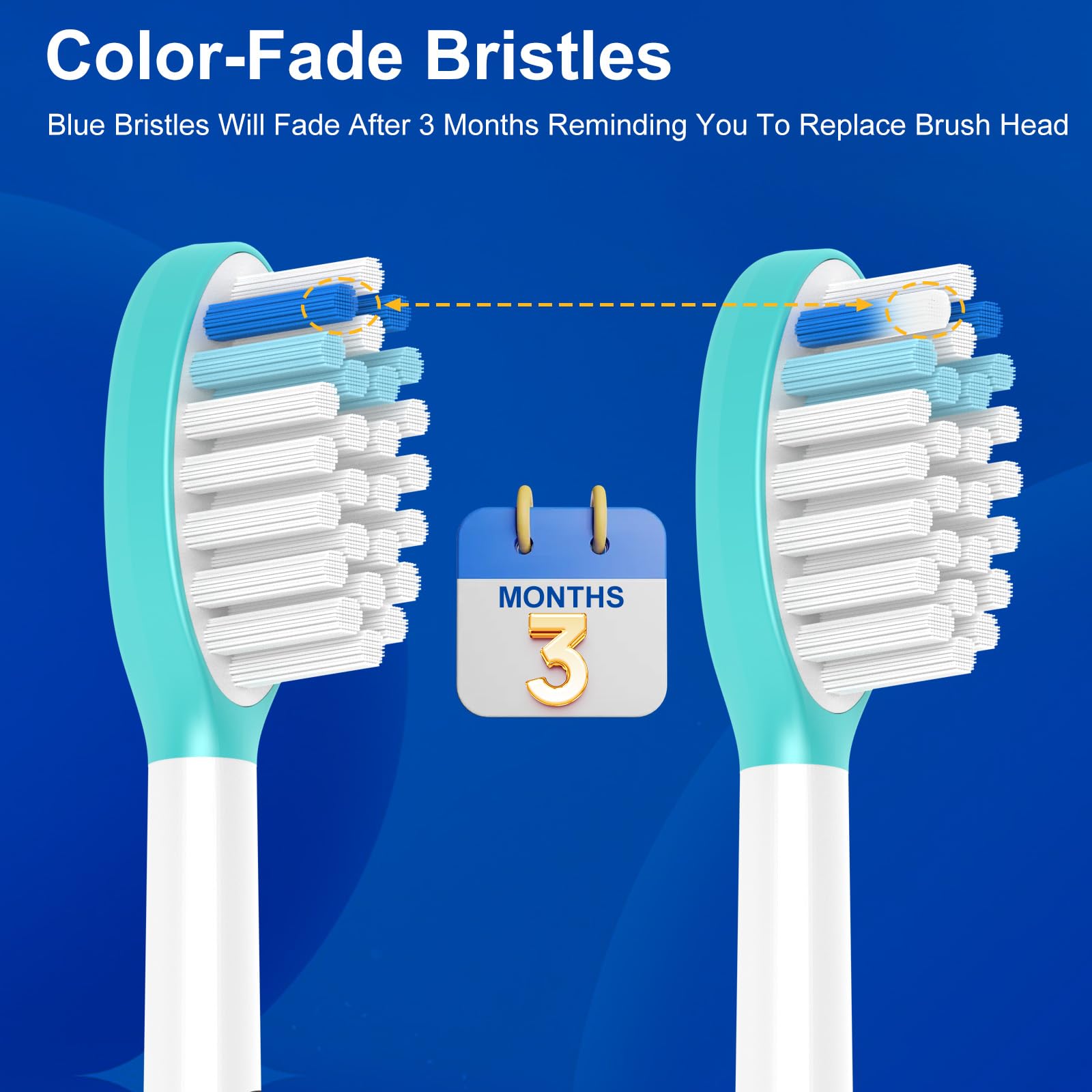 Blue bristles fade reminder to replace every 3 months