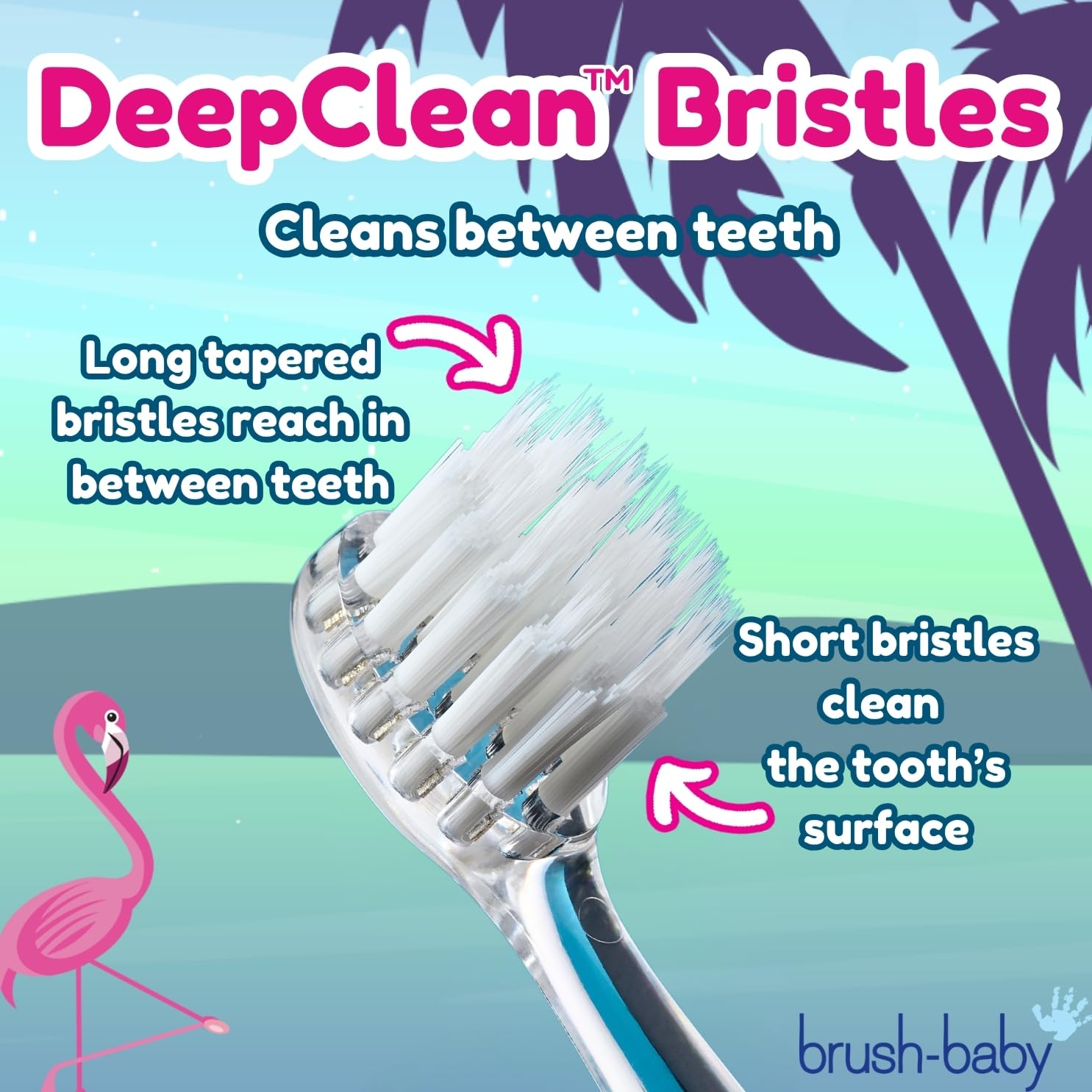 Two DeepClean replacement heads included