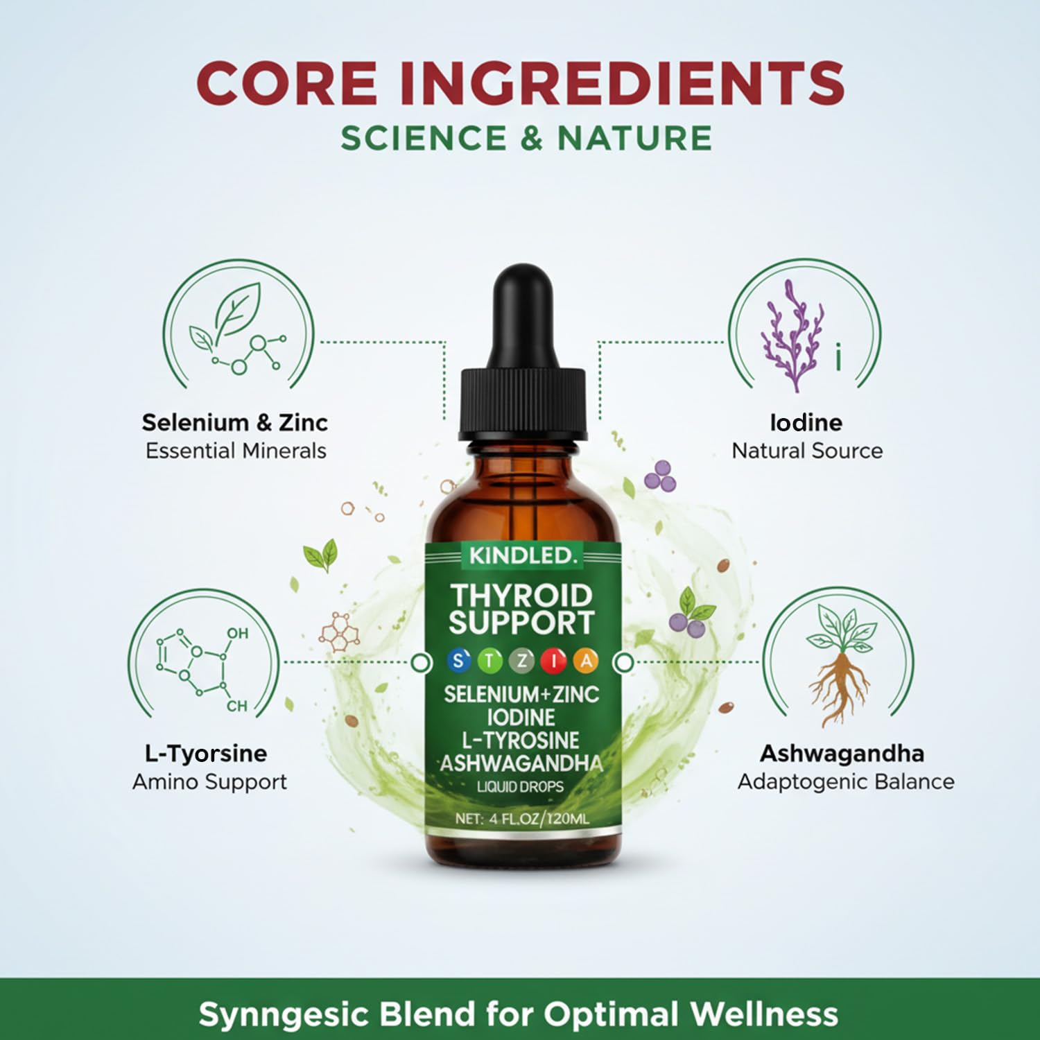 Graphic highlighting thyroid support benefits